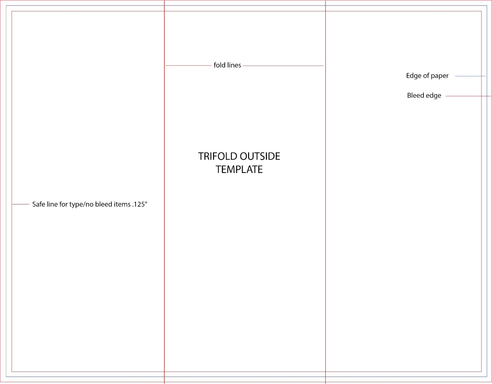 Tri Fold Brochure Example